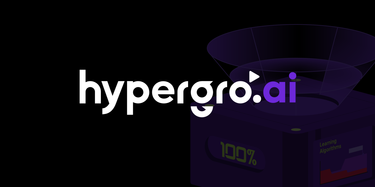 Hypergro.ai leverages AI for marketing efficiency and targeting